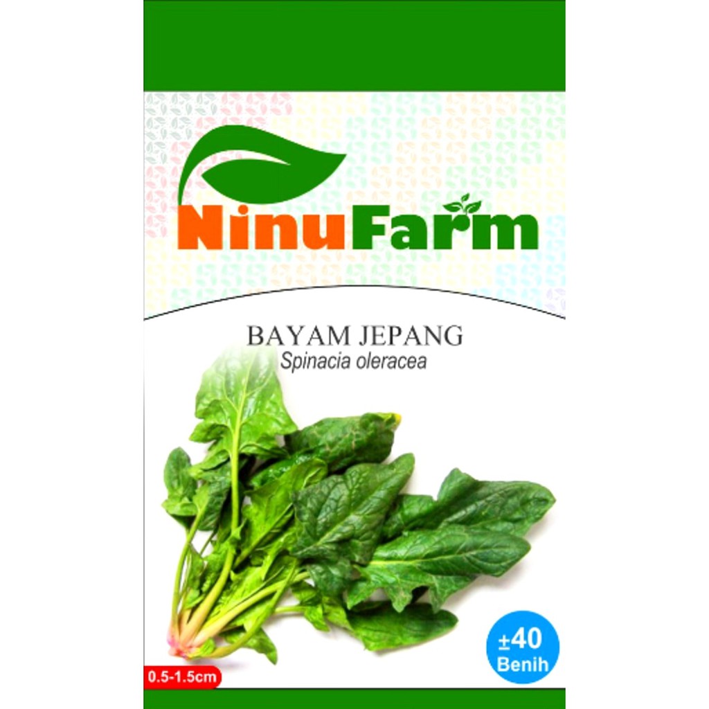Benih Biji Bayam Jepang - Ninu Farm