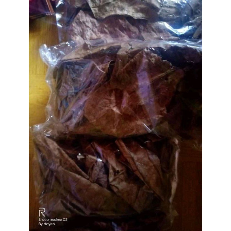 

extra daun katapang