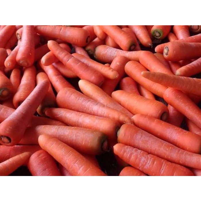 

wortel kualitas bagus paket hemat 250gr (1/4 kilo)