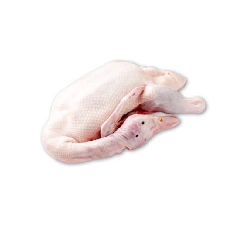 

Bebek 1,5 - 2 kg (1 ekor)