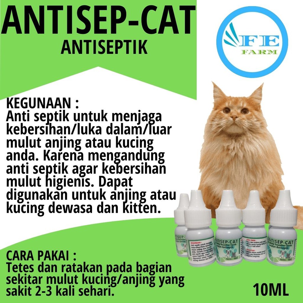 Cairan Antiseptik Obat Luka Luar dalam Mulut Kucing Anjing Anti Infeksi ANTISEP-CAT FEFARM