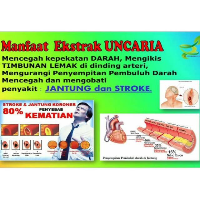 Herbal ekstrak UNCARIA