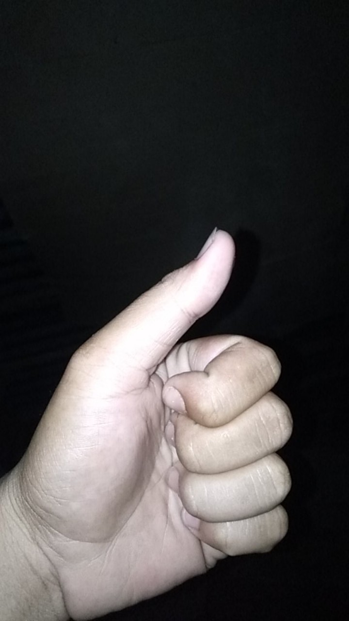 Karet Seal Power Sprayer Cx 22 Dan Cx 30 / Seal Kit Mesin Steam Cuci Mobil Motor