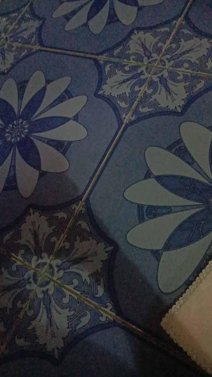 Tempat Penyimpanan Telor Telur 15pcs Storage Egg Box Alat Dapur Perlengkapan Rumah Tangga