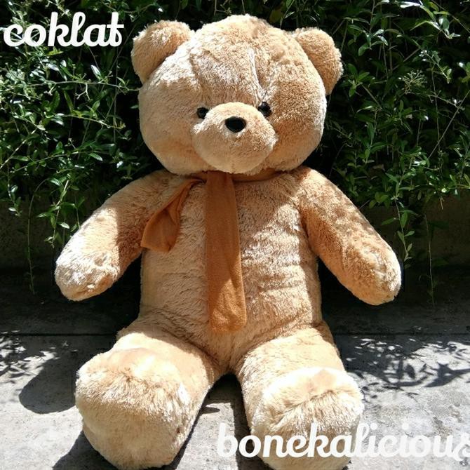 Best Produk Boneka  Beruang Teddy  Bear  Besar Jumbo  Syal 