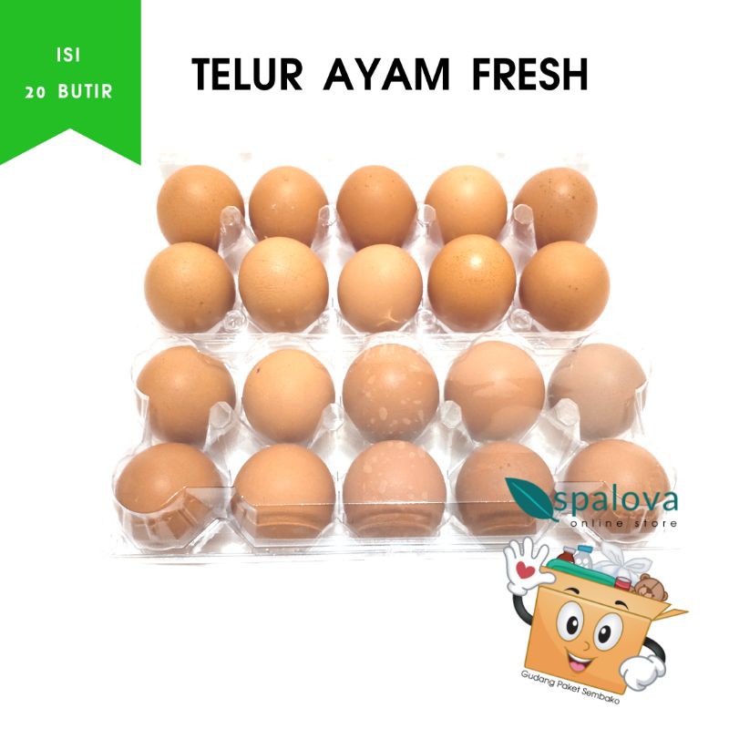 TELUR AYAM SEGAR / FRESH KEMASAN BOX