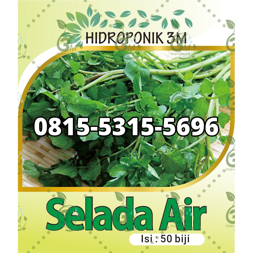 Benih Selada Air - Repack