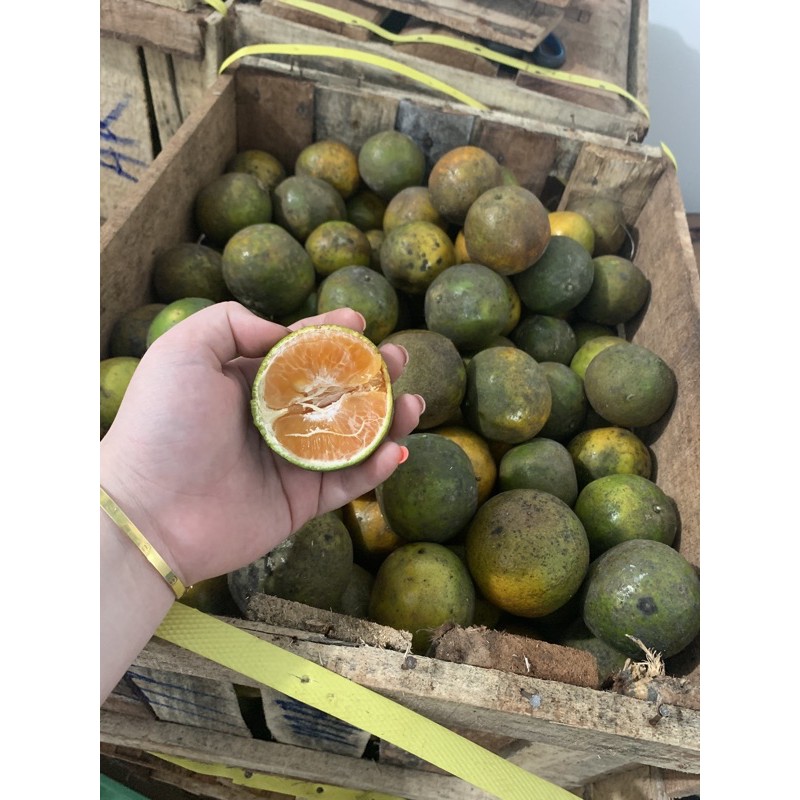 

jeruk madu Kalimantan