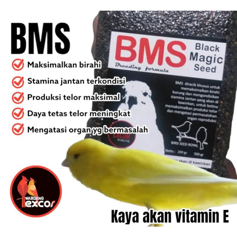 Pakan Biji Kenari dan Lovebird untuk Meningkatkan Birahi Gram
