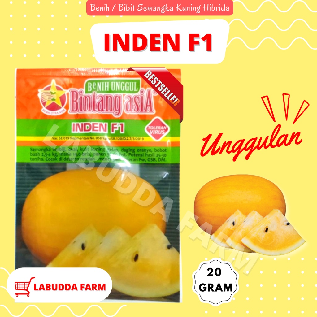 Bibit Semangka - Benih Semangka - Bibit Semangka Kuning - Biji Semangka - Benih Semangka Inul - Bibi