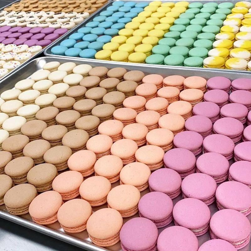 

Reguler Macaron