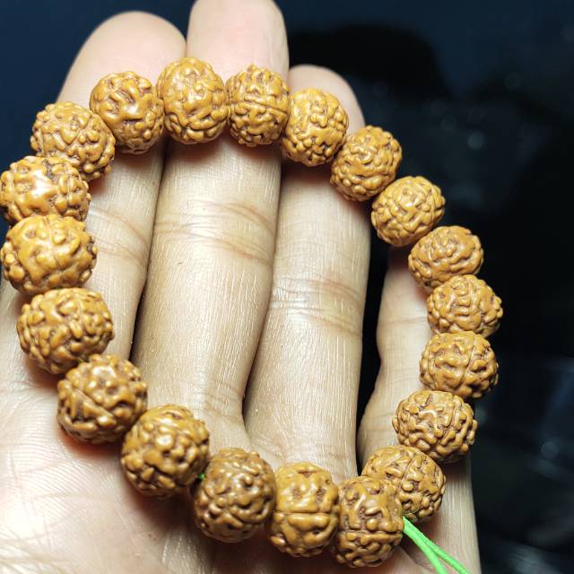 Rudraksha jenitri original