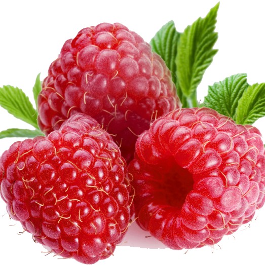 Raspberry - Tanaman Buah