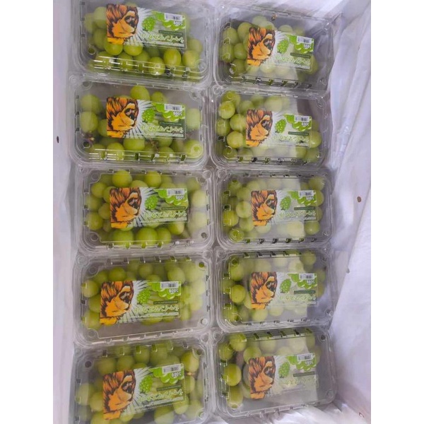 

Anggur Shine Muscat Pack 500gram