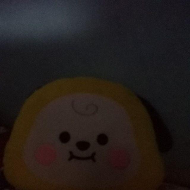 Tas Laundry Bra Tas Cuci Bh Daleman Wanita Murah Best Seller Murah