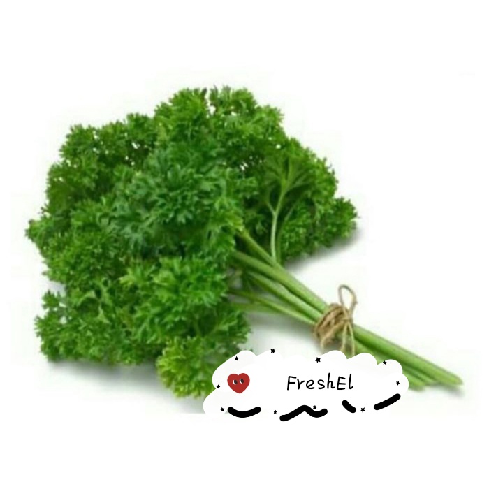 

FreshEl - PETERSELI 1IKAT