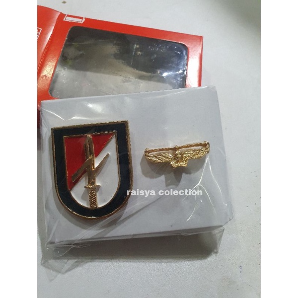 emblem raider