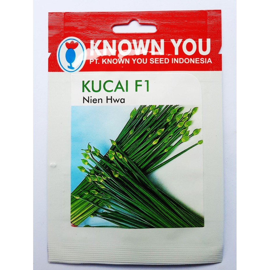 KUCAI NIEN HWA 80 BIJI PACK KECIL benih Daun Bawang F1 unggul Known You Seed bibit tanaman sayur sayuran