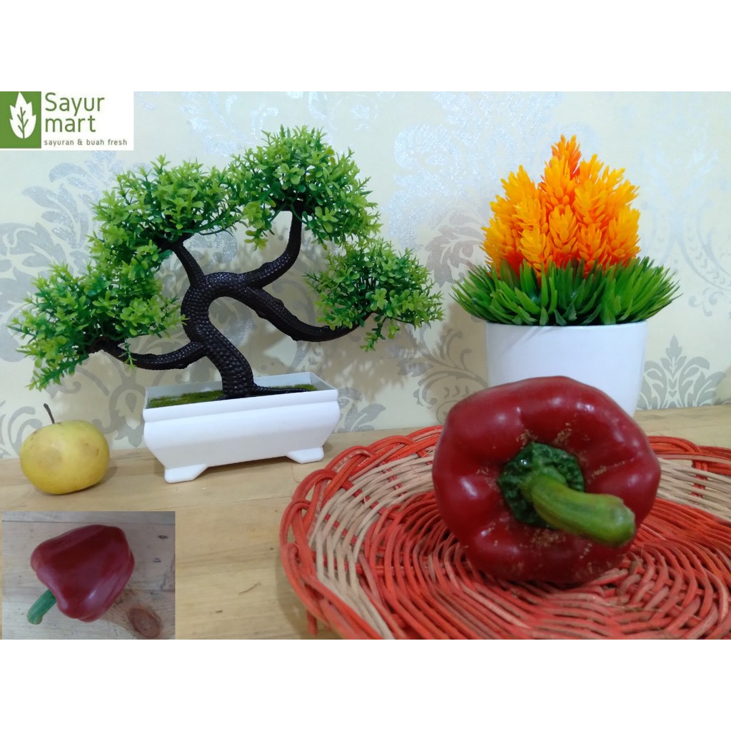 

PAPRIKA MERAH SEGAR
