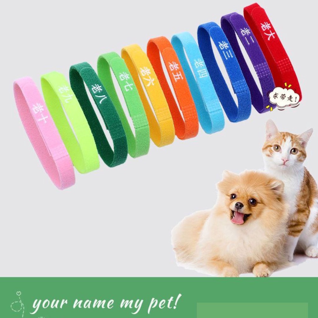 Penanda Kitten Whelp Puppy ID adjustable Collar Kalung Anak Kucing Anjing Kalung Breeder Pet Collar FEFARM