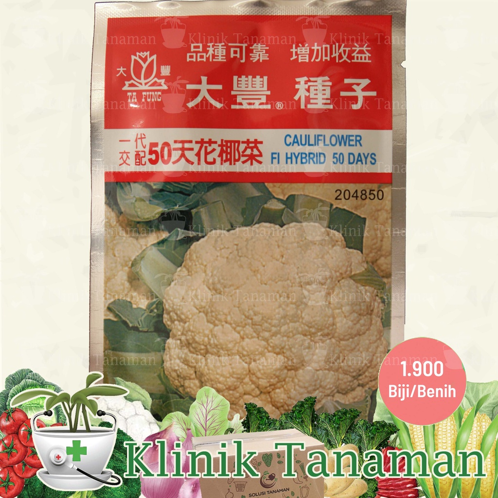 Jual Benih Bunga Kol Cauliflower 50 Days 10gr 1 900 Biji Bibit