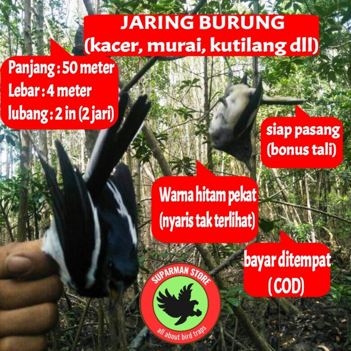 TERLARIS JARING BURUNG KACER JARING KACER JALA PIKAT KACER JEBAKAN BURUNG PERAN HG0721