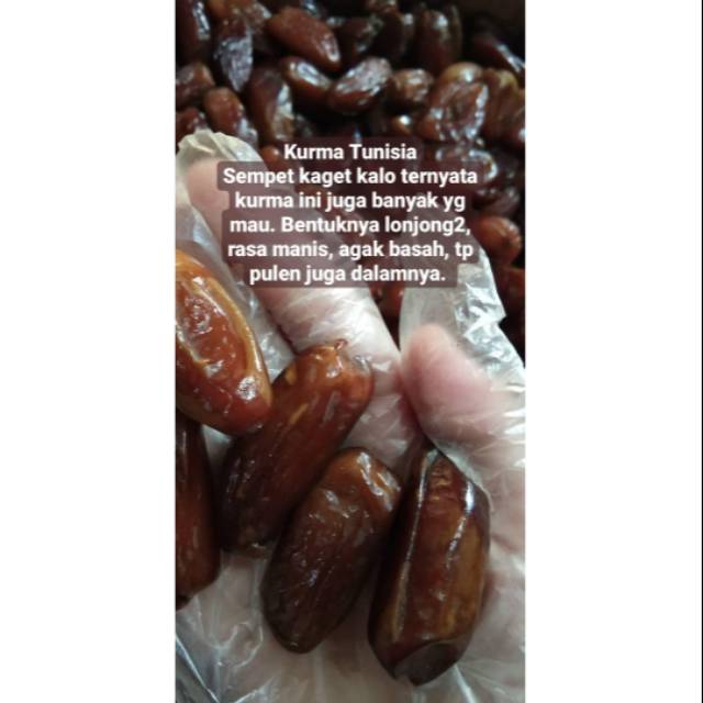 

Kurma Tunisia