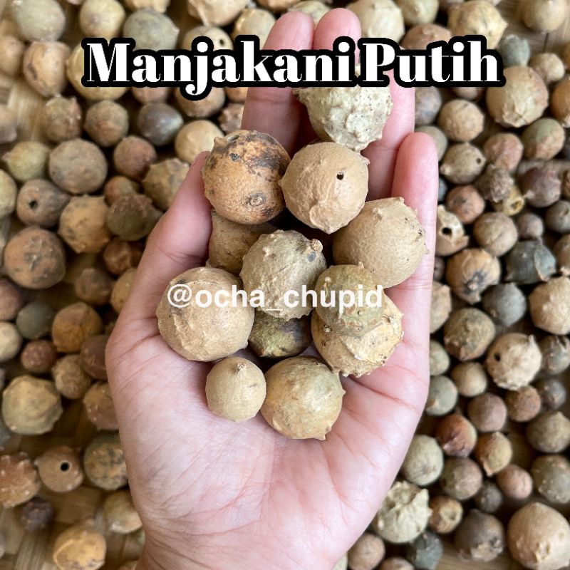 

Manjakani Putih Kering