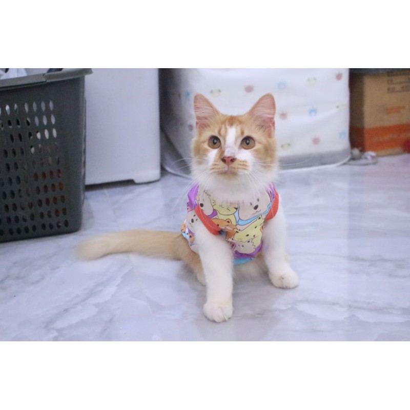 Baju kucing rumahan tsum tsum lucu / baju kucing dan anjing murah size S M L XL