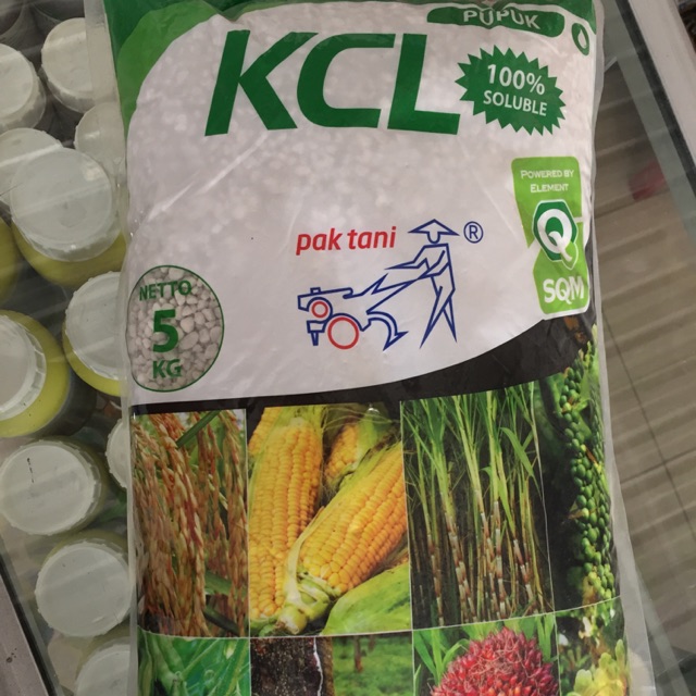 Pupuk 100% Soluble KCL Pak Tani Saprotan Utama
