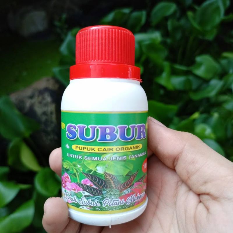 pupuk organik cair merk SUBUR khusus aglonema dan tanaman hias lainnya