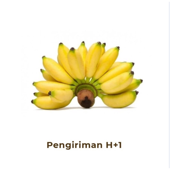 

Pisang Emas Segar 1 Sisir