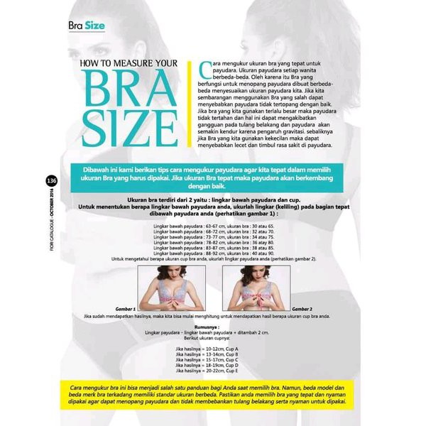 Barang Berkualitas   SET BRA DAN PANTY FIORI AURORA VER 02   Murah