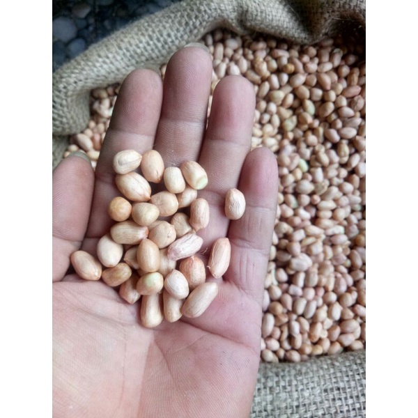 

kacang tanah lokal repack 250gr