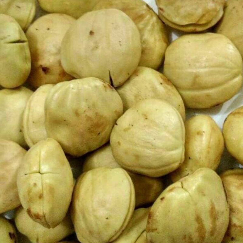 

Jengkol kupas fresh 250gr