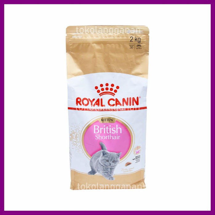 Royal Canin Makanan Kucing Kitten British Shorthair 2 Kg