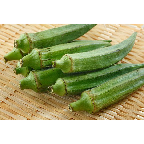 Benih Okra Hijau