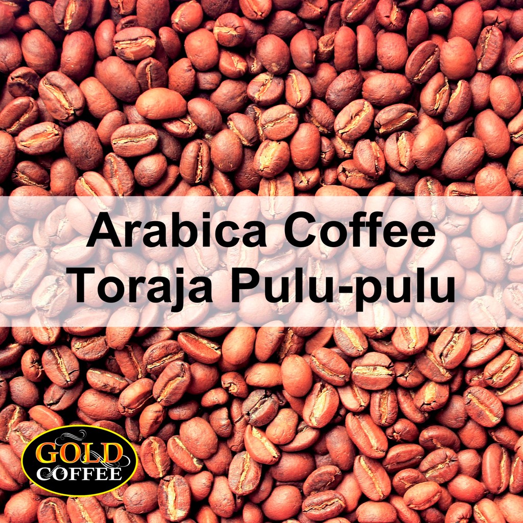 

Kopi Arabika Roast Bean Toraja Utara Kopi Dengan Aroma dan Rasa Rempah Nikmat.