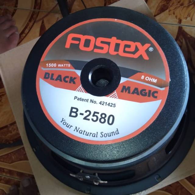 speaker fostex 15 inch