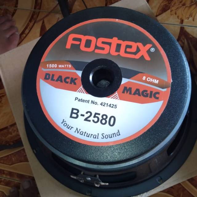 Fostex 10 Inch Shopee Indonesia