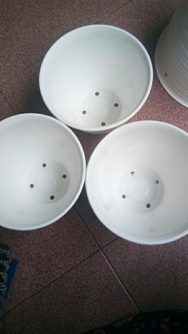 Ori 100% Pot Tawon - 18 Cm Asli Budi Jaya Bjp Bunga Pupuk Daun Benih Bibit #dirumahaja