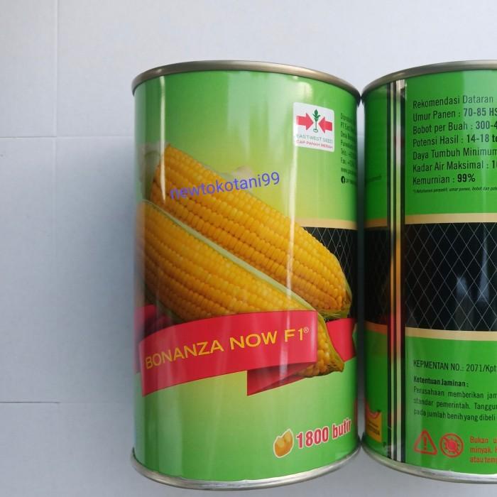 Benih Jagung Manis Bonanza Now 1800 Butir Jagung Hibrida Panah Merah