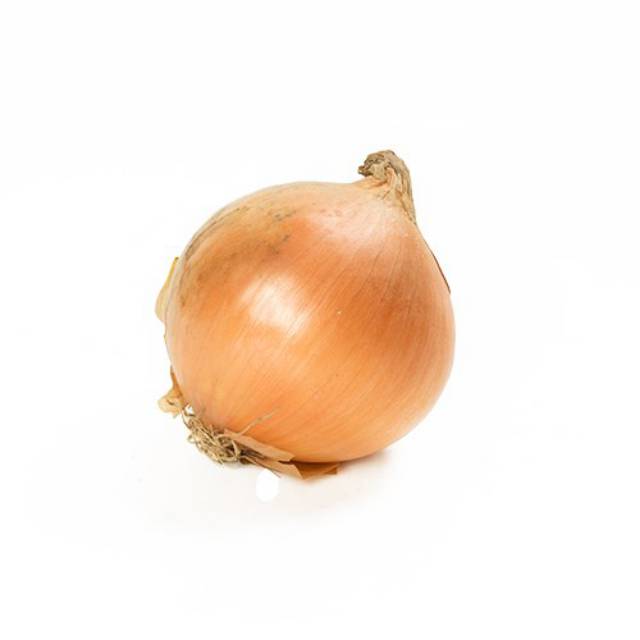 

BAWANG BOMBAY SEDANG