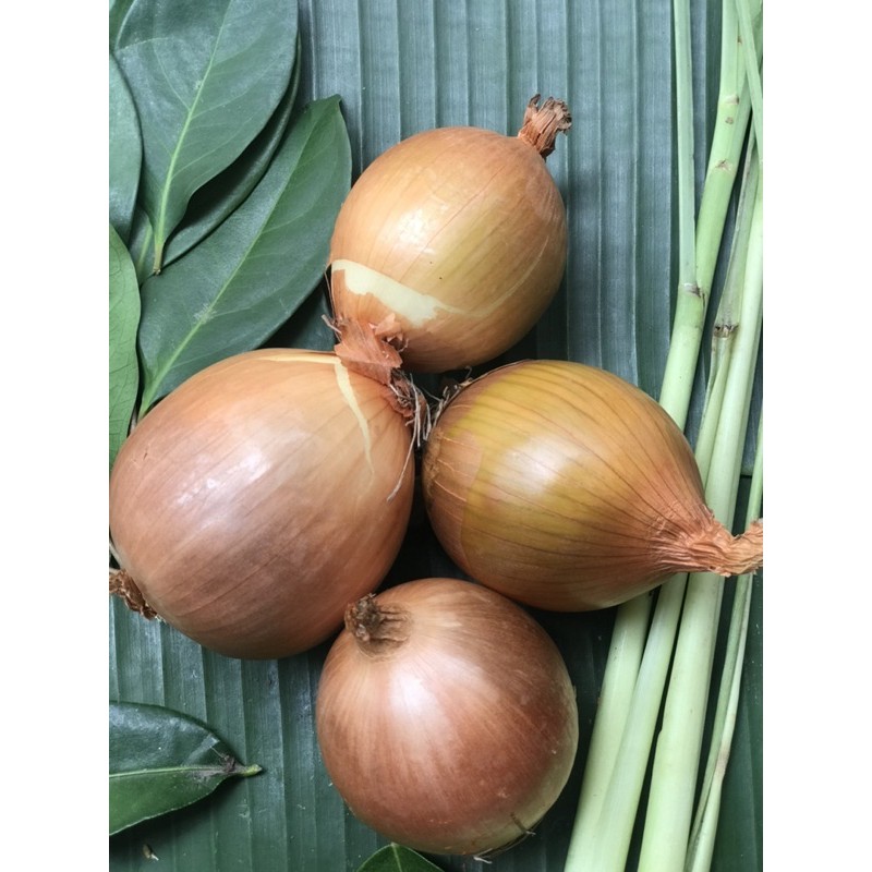 

(SAYUR SEGAR DEPOK) Bawang Bombai - 250 Gram