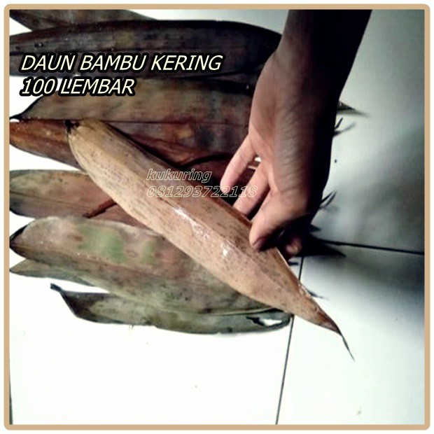 Daun bambu kering 100 lembar