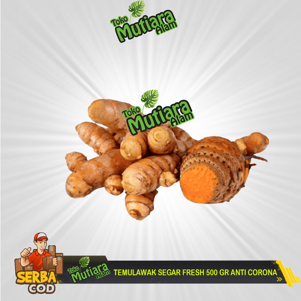 

TEMULAWAK SEGAR FRESH 500 GR ANTI CORONA MUTIARA ALAM