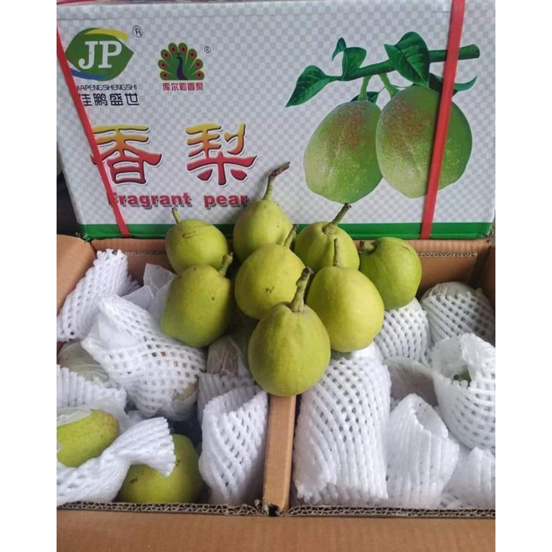 Pear Xiang lie