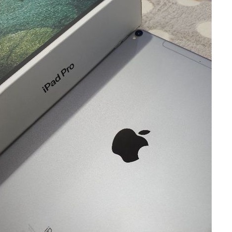 ipad pro 256gb cellular 2017