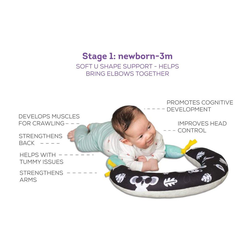 Taf Toys 2 in 1 Tummy Time Pillow