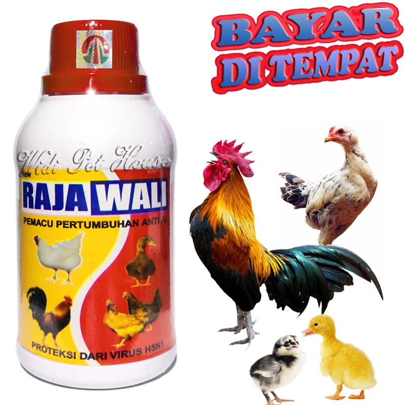 Vitamin Ayam Jago Bangkok Bebek Burung RAJAWALI Penggemuk Penambah Berat Badan Nafsu Makan